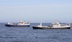 Havsnurp og Lønnøy på tobisfiske